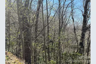 24 Elk Mountain Loop, Newland, NC 28657 - Photo 7