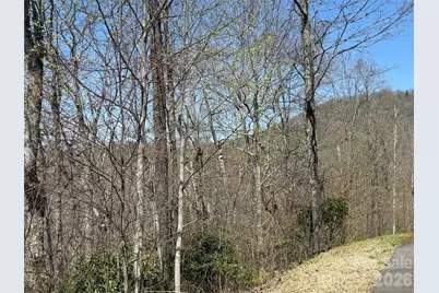 24 Elk Mountain Loop, Newland, NC 28657 - Photo 9