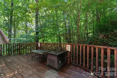 976 Wildcat Run, Maggie Valley, NC 28751 - Photo 25