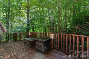 976 Wildcat Run, Maggie Valley, NC 28751 - Photo 25