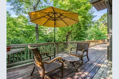 117 Inoli Circle, Brevard, NC 28712 - Photo 41