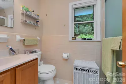 337 Delphia Drive, Brevard, NC 28712 - Photo 43