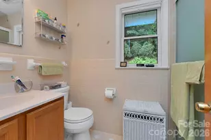 337 Delphia Dr, Brevard, NC 28712 - Photo 43