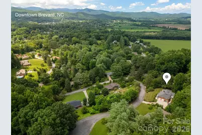 337 Delphia Drive, Brevard, NC 28712 - Photo 7