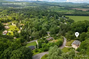 337 Delphia Dr, Brevard, NC 28712 - Photo 7