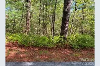 Fr16 Opossum Path #FR 16, Brevard, NC 28712 - Photo 11
