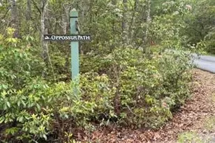 Fr16 Opossum Path, Brevard, NC 28712 - Photo 1