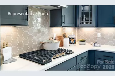 1024 Tundra Swan Drive, Indian Trail, NC 28079 - Photo 7