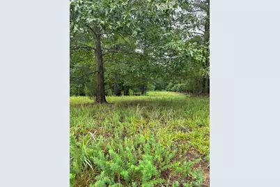 283 Rivercliff Drive, Stony Point, NC 28678 - Photo 3