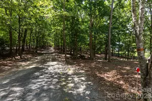15224 Thomas Rd, Charlotte, NC 28278 - Photo 35