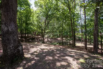 15224 Thomas Road, Charlotte, NC 28278 - Photo 33