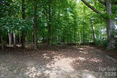 15224 Thomas Road, Charlotte, NC 28278 - Photo 37
