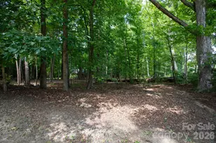 15224 Thomas Rd, Charlotte, NC 28278 - Photo 37