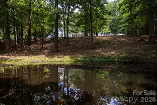 15224 Thomas Rd, Charlotte, NC 28278 - Photo 39