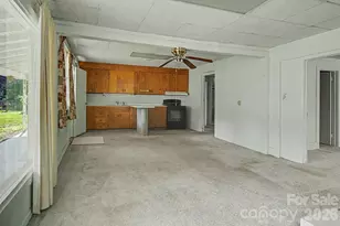 114 Old State 10 Rd, Black Mountain, NC 28711 - Photo 11