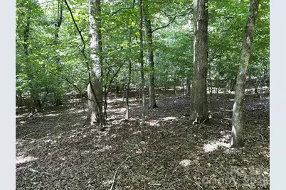 00 River Crest Parkway #26, Rutherfordton, NC 28139 - Photo 3