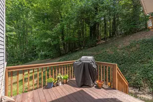 5 Summer Savory Ct, Flat Rock, NC 28731 - Photo 11