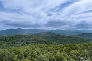 916 Fire Tower Rd, Bostic, NC 28018 - Photo 11
