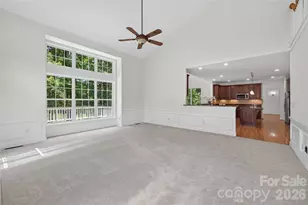 1910 Sycamore Berry Ct, Mint Hill, NC 28227 - Photo 21