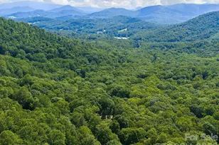 352 Celo Cove Dr, Burnsville, NC 28714 - Photo 47