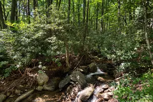 352 Celo Cove Dr, Burnsville, NC 28714 - Photo 45