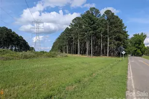 0000 Blessed Hope Rd, York, SC 29745 - Photo 3