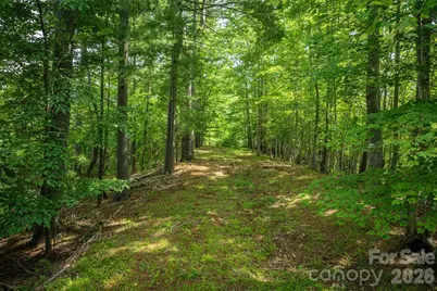 802 Marina Drive #3, Nebo, NC 28761 - Photo 13