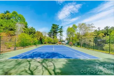 1150 W Blue Ridge Road, Flat Rock, NC 28731 - Photo 9