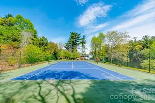 1150 W Blue Ridge Rd, Flat Rock, NC 28731 - Photo 9