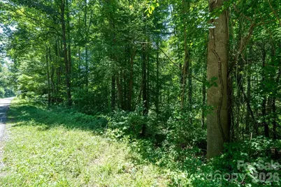 99999 Moody Cove Road #1, Weaverville, NC 28787 - Photo 17