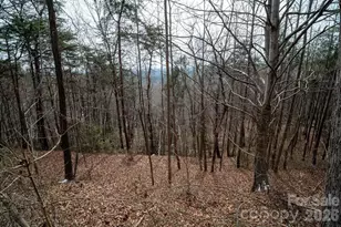 000 Pinnacle Pkwy, Union Mills, NC 28167 - Photo 25
