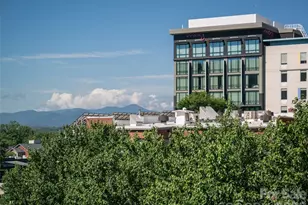 55 S Market St, Asheville, NC 28801 - Photo 31