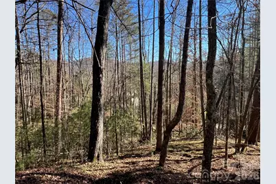 147 Falling Leaves Lane, Hendersonville, NC 28792 - Photo 3
