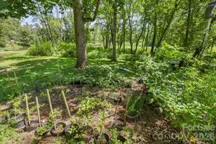 200 Newman Dr, Hendersonville, NC 28792 - Photo 37