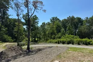 290 Poppy Acres Ln, Flat Rock, NC 28726 - Photo 3