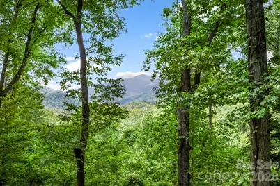 394 Hickory Drive, Waynesville, NC 28786 - Photo 41