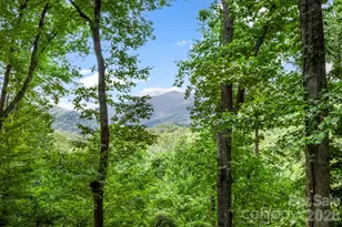 394 Hickory Dr, Waynesville, NC 28786 - Photo 41