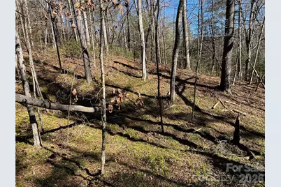 181 Falling Leaves Lane, Hendersonville, NC 28792 - Photo 3