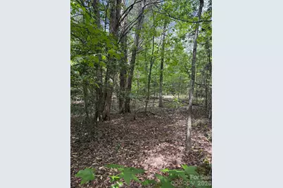 Tbd Sam Walker Road, Catawba, SC 29704 - Photo 3