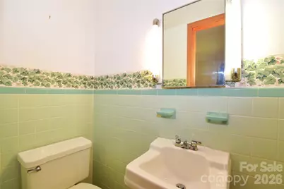605 S Buena Vista Drive, Hendersonville, NC 28792 - Photo 13