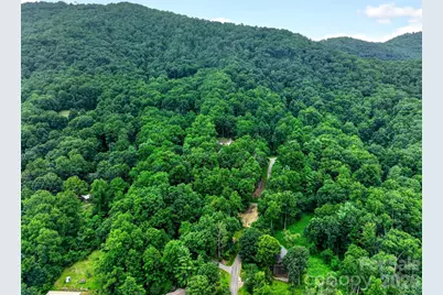 12 Beech Tree Lane, Asheville, NC 28804 - Photo 7