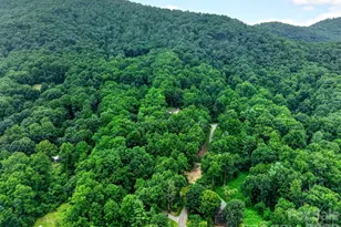 12 Beech Tree Ln, Asheville, NC 28804 - Photo 7
