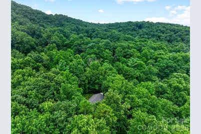 12 Beech Tree Lane, Asheville, NC 28804 - Photo 9