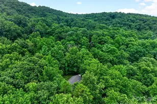 12 Beech Tree Ln, Asheville, NC 28804 - Photo 9