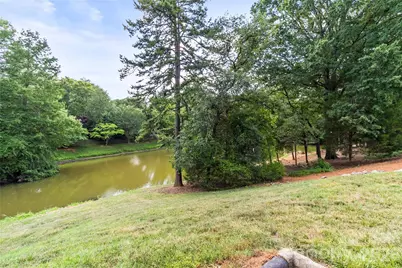 12321 Sparkling Way, Huntersville, NC 28078 - Photo 39