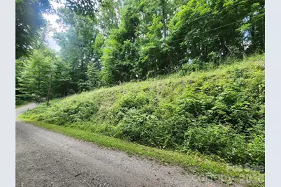 000 Jacks Knob Road, Weaverville, NC 28787 - Photo 3