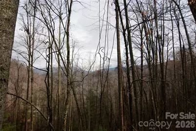 000 Jacks Knob Road, Weaverville, NC 28787 - Photo 5