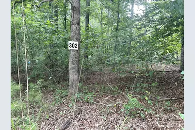 00 Bitteroot Circle #302, Rutherfordton, NC 28139 - Photo 1