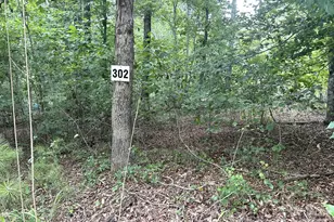 00 Bitteroot Circle, Rutherfordton, NC 28139 - Photo 1