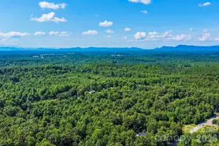 548 Cherry Mountain St, Forest City, NC 28043 - Photo 43